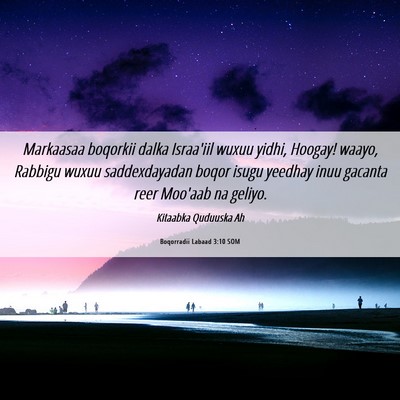Picture 06 - Boqorradii Labaad 3:10 SOM - Markaasaa boqorkii dalka Israa'iil wuxuu yidhi, - Bible Verse Picture