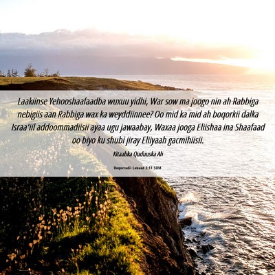 Picture 06 - Boqorradii Labaad 3:11 SOM - Laakiinse Yehooshaafaadba wuxuu yidhi, War sow ma - Bible Verse Picture
