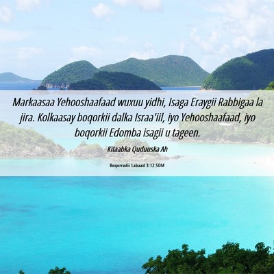 Picture 06 - Boqorradii Labaad 3:12 SOM - Markaasaa Yehooshaafaad wuxuu yidhi, Isaga - Bible Verse Picture