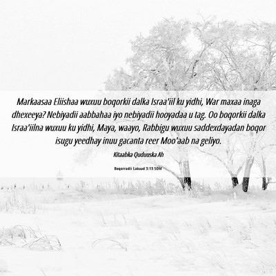 Picture 06 - Boqorradii Labaad 3:13 SOM - Markaasaa Eliishaa wuxuu boqorkii dalka Israa'iil - Bible Verse Picture