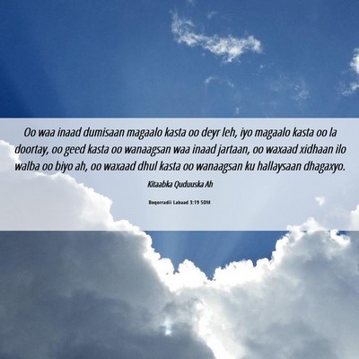 Picture 06 - Boqorradii Labaad 3:19 SOM - Oo waa inaad dumisaan magaalo kasta oo deyr leh, - Bible Verse Picture