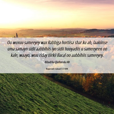 Picture 06 - Boqorradii Labaad 3:2 SOM - Oo wuxuu sameeyey wax Rabbiga hortiisa shar ku - Bible Verse Picture