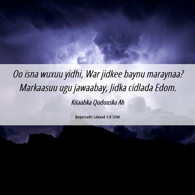 Picture 06 - Boqorradii Labaad 3:8 SOM - Oo isna wuxuu yidhi, War jidkee baynu maraynaa? - Bible Verse Picture