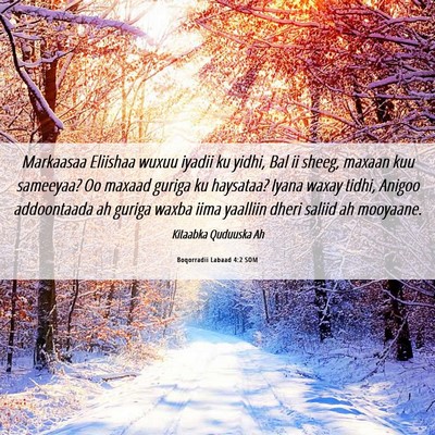 Picture 06 - Boqorradii Labaad 4:2 SOM - Markaasaa Eliishaa wuxuu iyadii ku yidhi, Bal ii - Bible Verse Picture