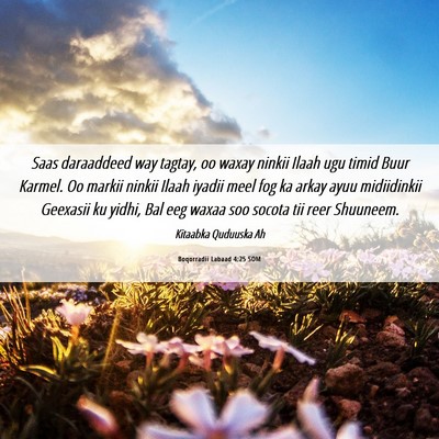 Picture 06 - Boqorradii Labaad 4:25 SOM - Saas daraaddeed way tagtay, oo waxay ninkii Ilaah - Bible Verse Picture