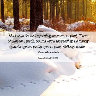 Picture 06 - Boqorradii Labaad 4:36 SOM - Markaasuu Geexasii u yeedhay, oo wuxuu ku yidhi, - Bible Verse Picture