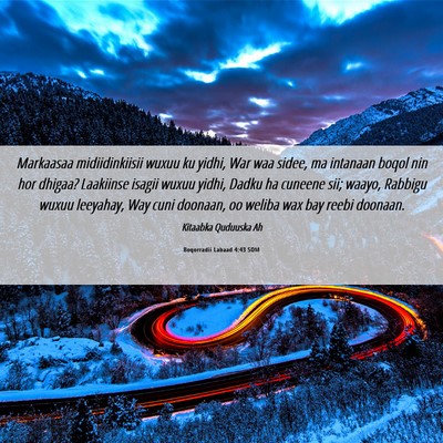 Picture 06 - Boqorradii Labaad 4:43 SOM - Markaasaa midiidinkiisii wuxuu ku yidhi, War waa - Bible Verse Picture
