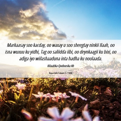 Picture 06 - Boqorradii Labaad 4:7 SOM - Markaasay soo kacday, oo waxay u soo sheegtay - Bible Verse Picture