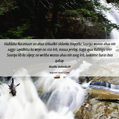Picture 06 - Boqorradii Labaad 5:1 SOM - Haddaba Nacamaan oo ahaa sirkaalkii ciidanka - Bible Verse Picture