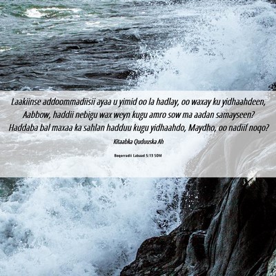 Picture 06 - Boqorradii Labaad 5:13 SOM - Laakiinse addoommadiisii ayaa u yimid oo la - Bible Verse Picture