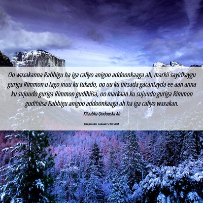 Picture 06 - Boqorradii Labaad 5:18 SOM - Oo waxakanna Rabbigu ha iga cafiyo anigoo - Bible Verse Picture