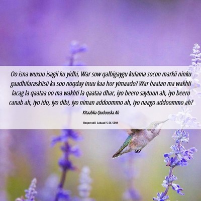 Picture 06 - Boqorradii Labaad 5:26 SOM - Oo isna wuxuu isagii ku yidhi, War sow qalbigaygu - Bible Verse Picture