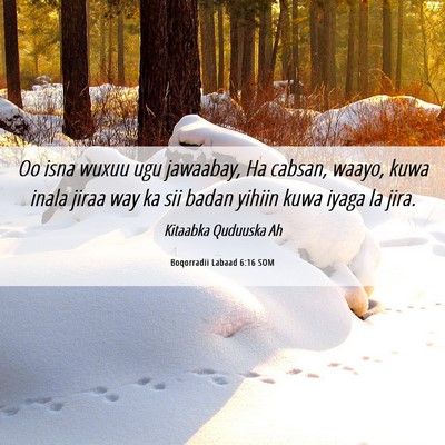 Picture 06 - Boqorradii Labaad 6:16 SOM - Oo isna wuxuu ugu jawaabay, Ha cabsan, waayo, - Bible Verse Picture