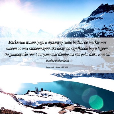 Picture 06 - Boqorradii Labaad 6:23 SOM - Markaasuu wuxuu iyagii u diyaariyey cunto badan, - Bible Verse Picture