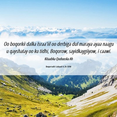 Picture 06 - Boqorradii Labaad 6:26 SOM - Oo boqorkii dalka Israa'iil oo derbiga dul maraya - Bible Verse Picture