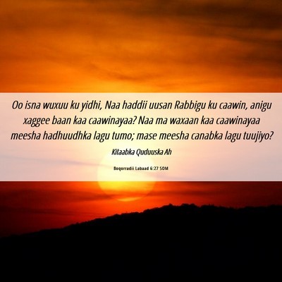 Picture 06 - Boqorradii Labaad 6:27 SOM - Oo isna wuxuu ku yidhi, Naa haddii uusan Rabbigu - Bible Verse Picture