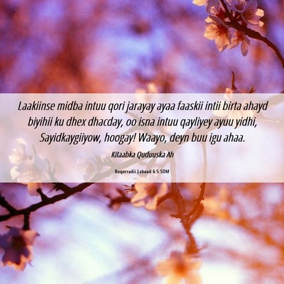 Picture 06 - Boqorradii Labaad 6:5 SOM - Laakiinse midba intuu qori jarayay ayaa faaskii - Bible Verse Picture
