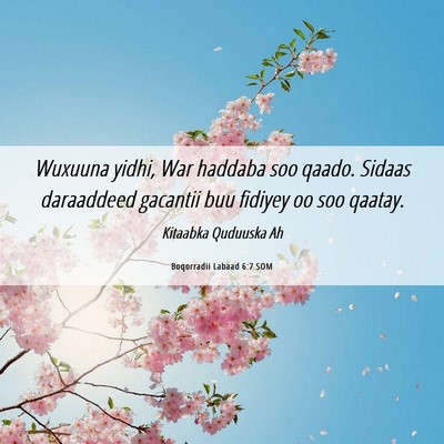 Picture 06 - Boqorradii Labaad 6:7 SOM - Wuxuuna yidhi, War haddaba soo qaado. Sidaas - Bible Verse Picture