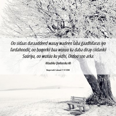Picture 06 - Boqorradii Labaad 7:14 SOM - Oo sidaas daraaddeed waxay wadeen laba - Bible Verse Picture