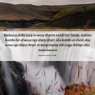 Picture 06 - Boqorradii Labaad 7:16 SOM - Markaasaa dadkii baxay oo waxay dhaceen xeradii - Bible Verse Picture