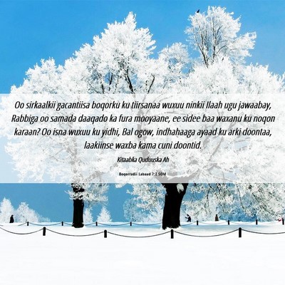 Picture 06 - Boqorradii Labaad 7:2 SOM - Oo sirkaalkii gacantiisa boqorku ku tiirsanaa - Bible Verse Picture