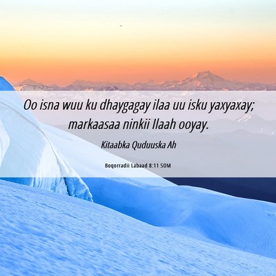 Picture 06 - Boqorradii Labaad 8:11 SOM - Oo isna wuu ku dhaygagay ilaa uu isku yaxyaxay; - Bible Verse Picture