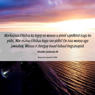 Picture 06 - Boqorradii Labaad 8:14 SOM - Markaasuu Eliishaa ka tegey oo wuxuu u yimid - Bible Verse Picture