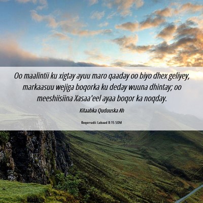 Picture 06 - Boqorradii Labaad 8:15 SOM - Oo maalintii ku xigtay ayuu maro qaaday oo biyo - Bible Verse Picture