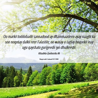 Picture 06 - Boqorradii Labaad 8:3 SOM - Oo markii toddobadii sannadood ay dhammaadeen - Bible Verse Picture