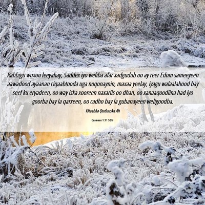 Picture 06 - Caamoos 1:11 SOM - Rabbigu wuxuu leeyahay, Saddex iyo weliba afar - Bible Verse Picture