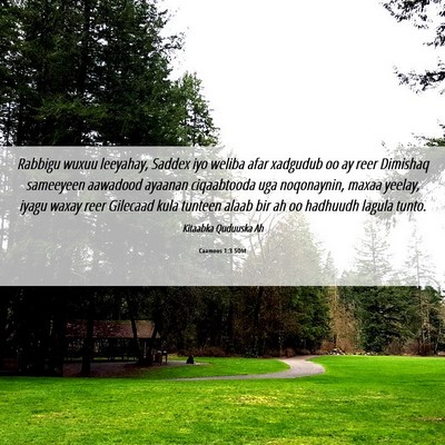 Picture 06 - Caamoos 1:3 SOM - Rabbigu wuxuu leeyahay, Saddex iyo weliba afar - Bible Verse Picture