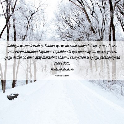 Picture 06 - Caamoos 1:6 SOM - Rabbigu wuxuu leeyahay, Saddex iyo weliba afar - Bible Verse Picture