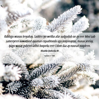 Picture 06 - Caamoos 2:1 SOM - Rabbigu wuxuu leeyahay, Saddex iyo weliba afar - Bible Verse Picture