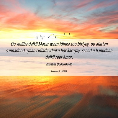 Picture 06 - Caamoos 2:10 SOM - Oo weliba dalkii Masar waan idinka soo bixiyey, - Bible Verse Picture