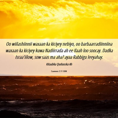 Picture 06 - Caamoos 2:11 SOM - Oo wiilashiinnii waxaan ka kiciyey nebiyo, oo - Bible Verse Picture