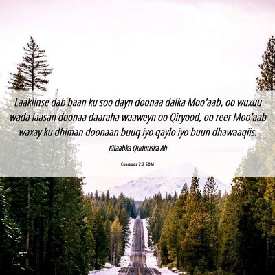 Picture 06 - Caamoos 2:2 SOM - Laakiinse dab baan ku soo dayn doonaa dalka - Bible Verse Picture