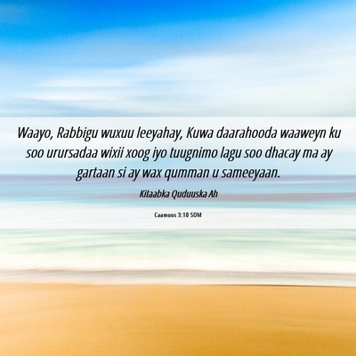 Picture 06 - Caamoos 3:10 SOM - Waayo, Rabbigu wuxuu leeyahay, Kuwa daarahooda - Bible Verse Picture