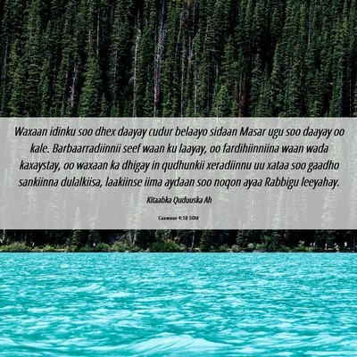Picture 06 - Caamoos 4:10 SOM - Waxaan idinku soo dhex daayay cudur belaayo - Bible Verse Picture