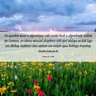 Picture 06 - Caamoos 4:11 SOM - Oo qaarkiin waan u afgembiyey sidii markii Ilaah - Bible Verse Picture