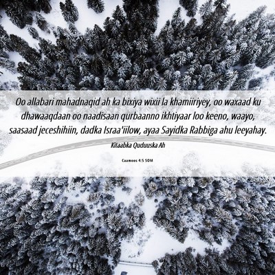 Picture 06 - Caamoos 4:5 SOM - Oo allabari mahadnaqid ah ka bixiya wixii la - Bible Verse Picture