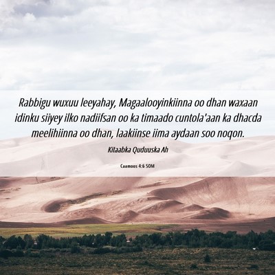 Picture 06 - Caamoos 4:6 SOM - Rabbigu wuxuu leeyahay, Magaalooyinkiinna oo dhan - Bible Verse Picture