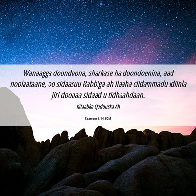 Picture 06 - Caamoos 5:14 SOM - Wanaagga doondoona, sharkase ha doondoonina, aad - Bible Verse Picture
