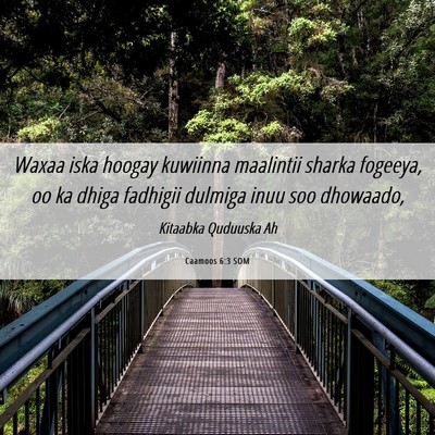 Picture 06 - Caamoos 6:3 SOM - Waxaa iska hoogay kuwiinna maalintii sharka - Bible Verse Picture