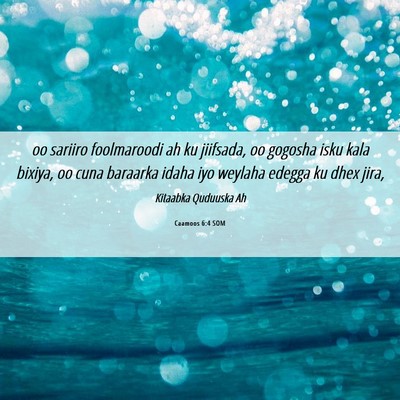 Picture 06 - Caamoos 6:4 SOM - oo sariiro foolmaroodi ah ku jiifsada, oo gogosha - Bible Verse Picture