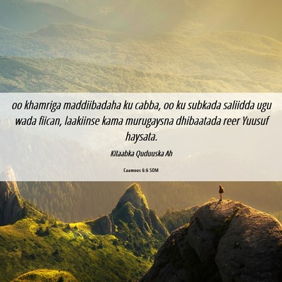 Picture 06 - Caamoos 6:6 SOM - oo khamriga maddiibadaha ku cabba, oo ku subkada - Bible Verse Picture