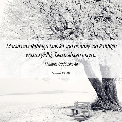 Picture 06 - Caamoos 7:3 SOM - Markaasaa Rabbigu taas ka soo noqday, oo Rabbigu - Bible Verse Picture