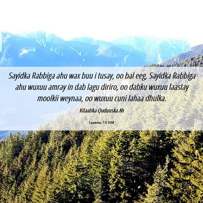 Picture 06 - Caamoos 7:4 SOM - Sayidka Rabbiga ahu wax buu i tusay, oo bal eeg, - Bible Verse Picture