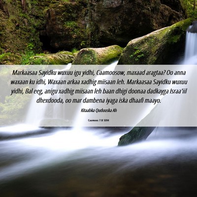 Picture 06 - Caamoos 7:8 SOM - Markaasaa Sayidku wuxuu igu yidhi, Caamoosow, - Bible Verse Picture