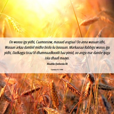 Picture 06 - Caamoos 8:2 SOM - Oo wuxuu igu yidhi, Caamoosow, maxaad aragtaa? Oo - Bible Verse Picture