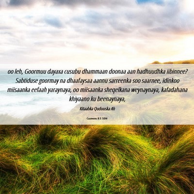 Picture 06 - Caamoos 8:5 SOM - oo leh, Goormuu dayaxa cusubu dhammaan doonaa aan - Bible Verse Picture